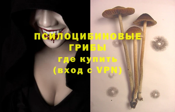 таблы Ельня