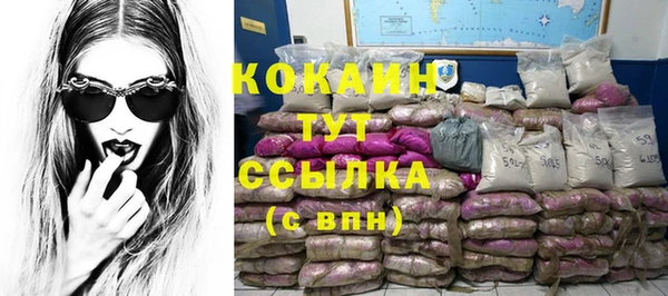 таблы Ельня