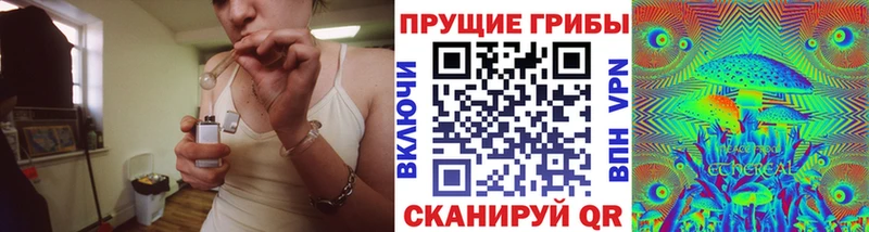 Купить  Новозыбков  Галлюциногенные грибы MAGIC MUSHROOMS 
