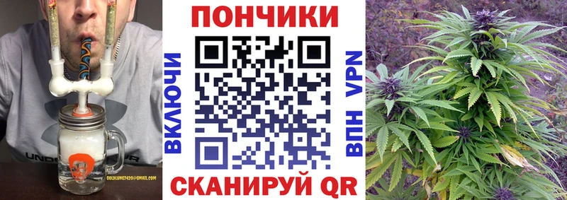 Каннабис сатива  Купить где  Новозыбков 